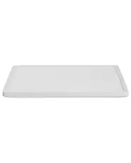 LED Ceiling Lamp CEREON with Remote with Dimmer White_1131430
