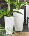 Set of 2 Plant Pots TSERIA 32 cm White