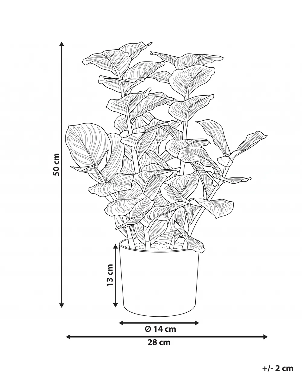 Konstgjord växt ORBIFOLIA 50 cm Grön_1069519
