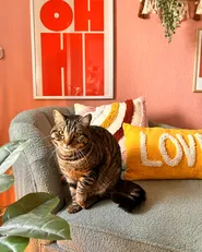 Set of 2 Decorative Cushions LOVE Cotton 30 x 50 cm Yellow_979131