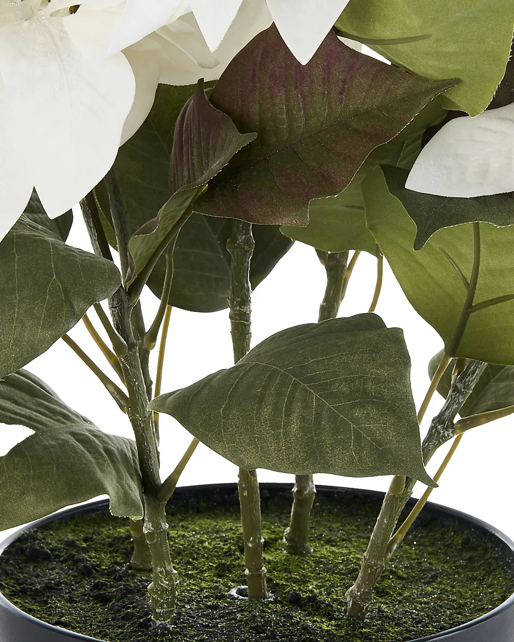 Artificial Plant CHRISTMAS FLOWER 61 cm White_1174962
