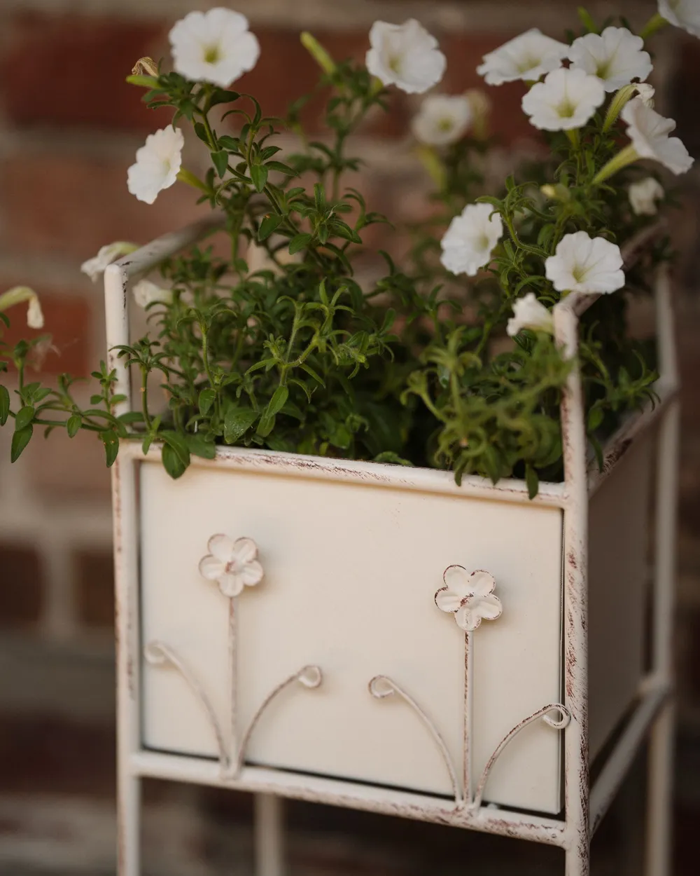 Plant Stand LUPINE 22 cm Metal Beige_1131315