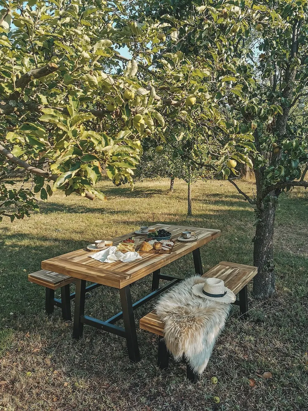 Garden Dining Set 6 Seater SCANIA Acacia Wood Black_811107