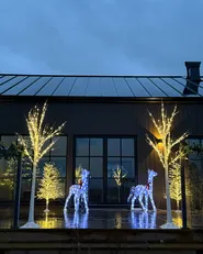 Ulkokoriste LED-valo LAPPI 190 cm Joulukuusi Valkoinen_1039298