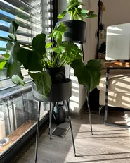 Kukkateline LEIKA 29 cm Metalli Musta_905180