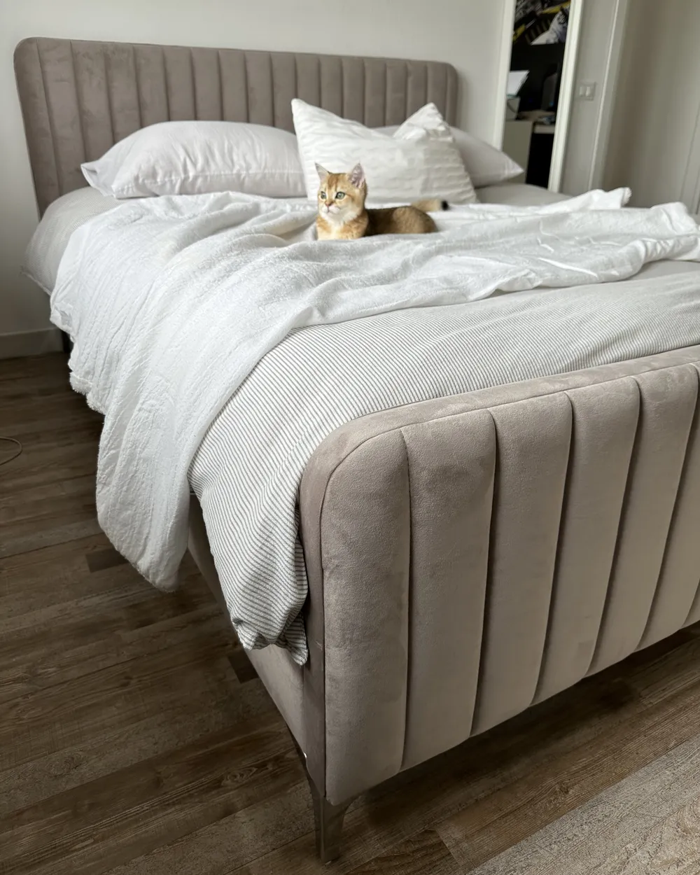 Bed Velvet LUNAN 160 x 200 cm (EU King Size) Taupe_933136