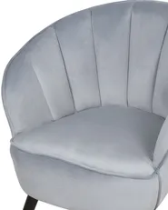 Armchair DALA Velvet Light Grey_716807