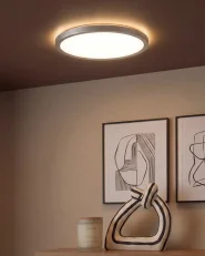 LED Ceiling Lamp VELORA with Remote with Dimmer Silver_1131644