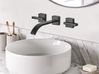 Wall Mounted Basin Mixer Tap BERRACO Brass Black