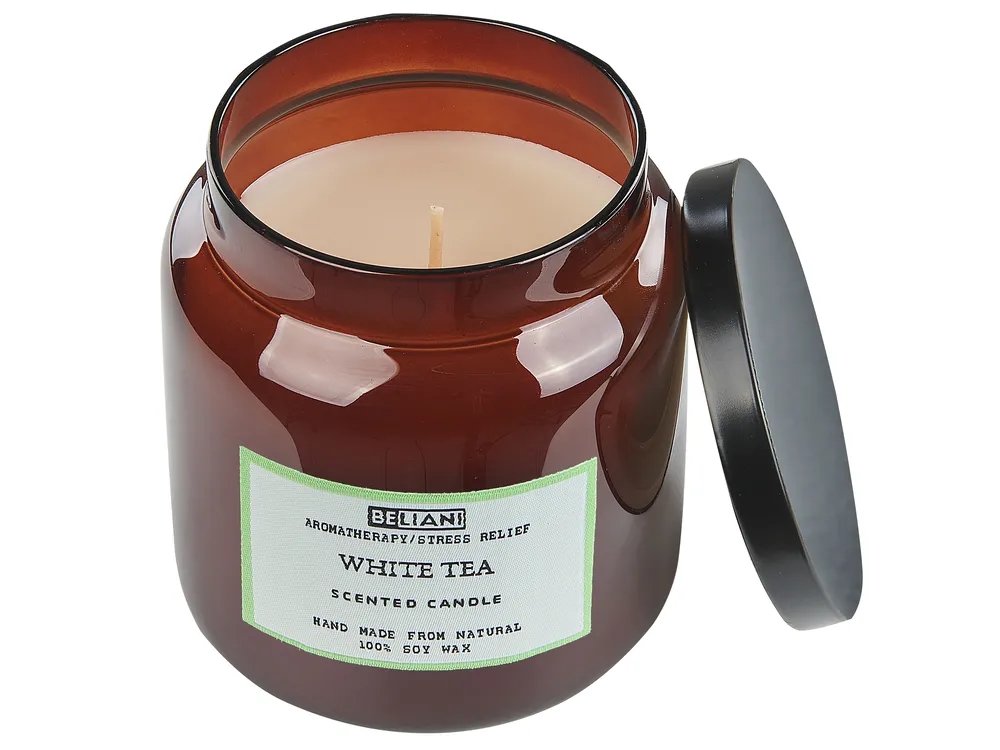 Set of 2 Scented Candles ABSOLUTE ALCHEMY Soy Wax Fresh Notes_874715