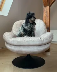 Swivel Armchair NOLVIK Velvet Light Beige_1039206