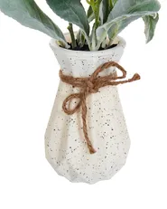 Artificial Plant PEPEROMIA ARGYREIA 30 cm Green_947225