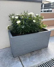 Blomkruka MYRA 60 cm Grå_982334