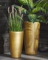 Set of 2 Plant Pots TSERIA 32 cm Gold