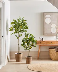 Konstgjord växt LEMON TREE 105 cm Grön_917188