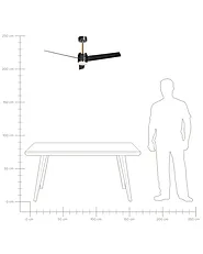 Ceiling Fan with Light TROUT with Remote LED Black_1133578