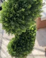 Tekokasvi CYPRESS SPIRAL TREE 126 cm Vihreä_1006338