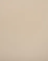 Set med 2 matstolar SOMERS Beige_873427