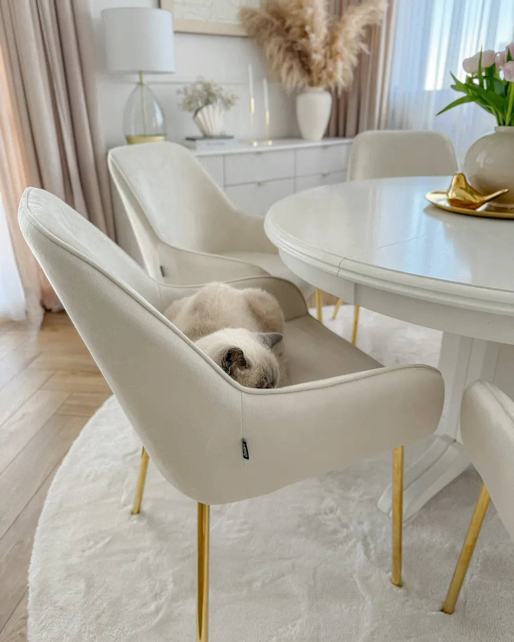 Ruokatuolisetti 2 kpl LOVERNA Sametti Luonnonvalkoinen_977836
