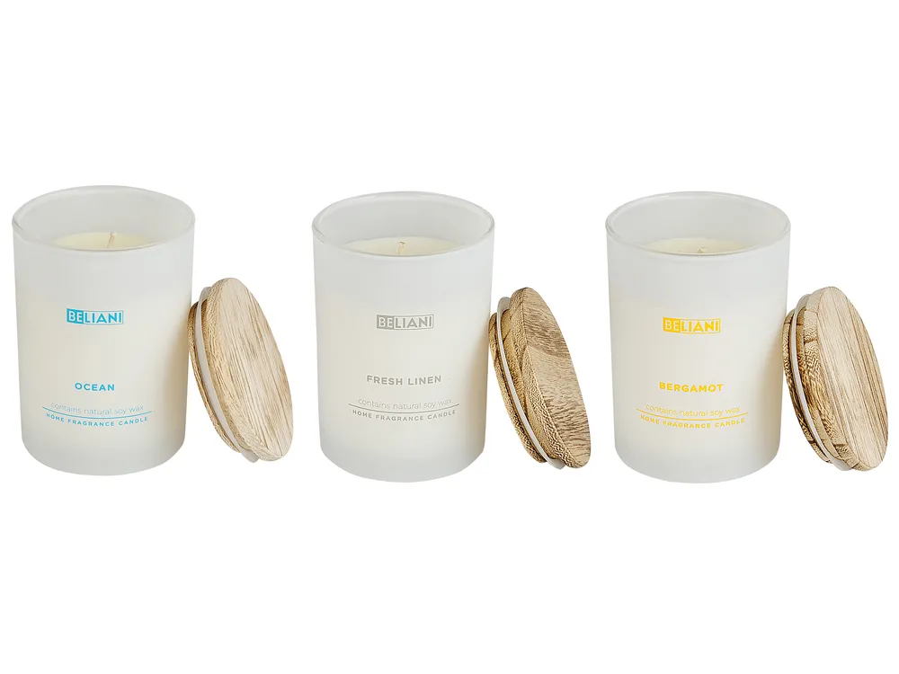 Set of 3 Scented Candles SIMPLICITY Soy Wax Fruity Notes Fresh Notes