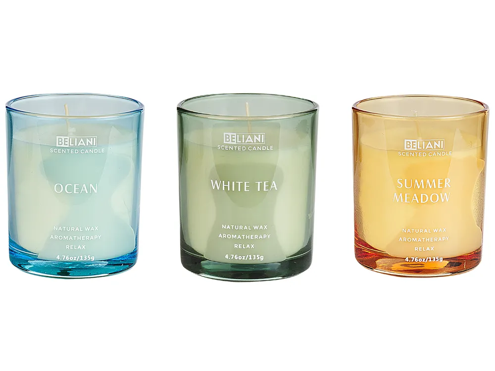 Set of 3 Scented Candles SHEER JOY Soy Wax Fresh Notes