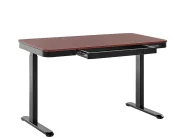 Electric Adjustable Standing Desk KENLY 120 cm 60 cm with USB Port Dark Brown_840242