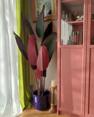 Artificial Plant BANANA TREE 163 cm Green_951497
