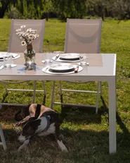 Garden Dining Set 6 Seater CATANIA Metal Beige_922957