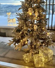 Utomhusdekoration LED ARNES 25/20/15 cm Julklappar Silver_946504