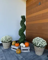 Konstgjord växt BUXUS SPIRAL TREE 158 cm Grön_978652