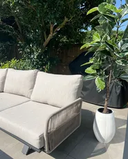 Konstgjord växt FICUS ELASTICA 160 cm Grön_946645