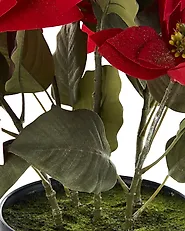 Artificial Plant CHRISTMAS FLOWER 61 cm Red_1174969