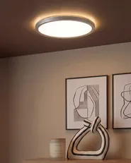 LED Ceiling Lamp VELORA with Remote with Dimmer Silver_1125241