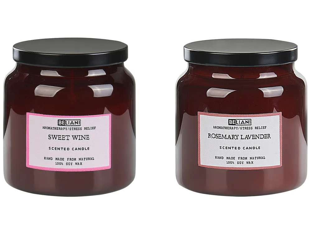 Set of 2 Scented Candles ABSOLUTE ALCHEMY Soy Wax Fresh Notes