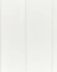 Set med 2 matstolar SANILAC Sammet Vit_847146
