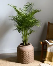 Blomkruka GERAKAS 35 cm Beige_1032420