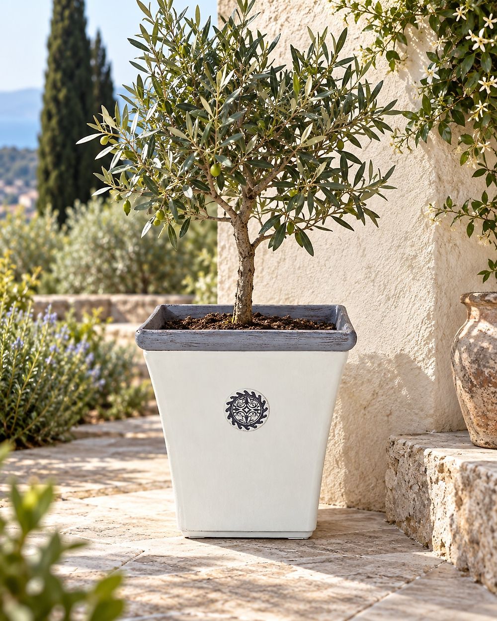 Blomkruka ELATEIA 37 cm Vit