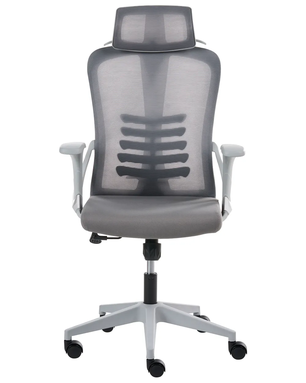 Office Chair ERGONOX Grey_1065540