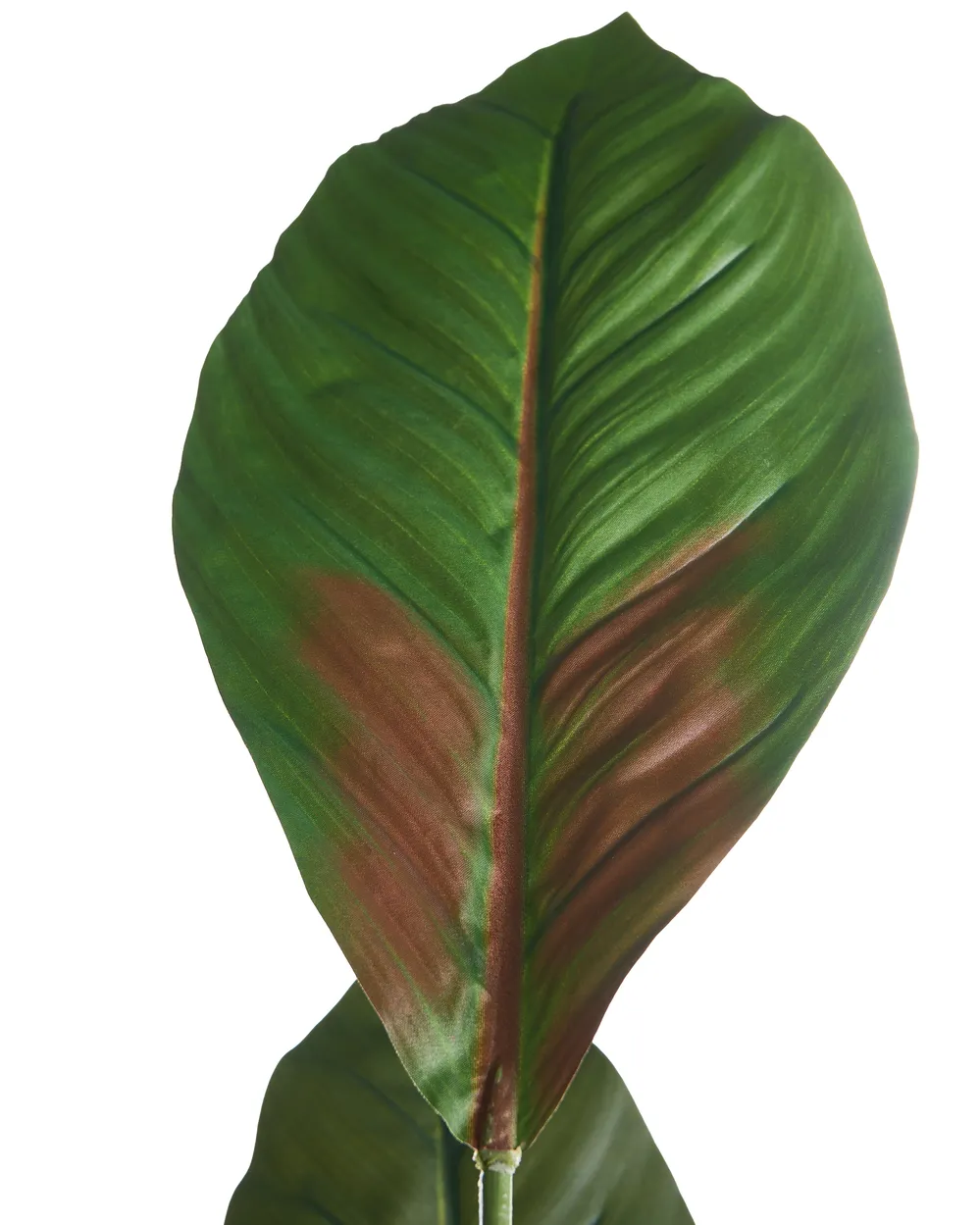 Konstgjord växt PURPURATA 130 cm Röd_1103898