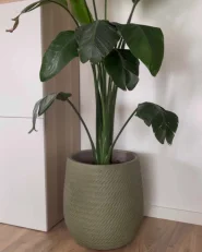 Plant Pot LIVADIA 27 cm Olive Green_1172318