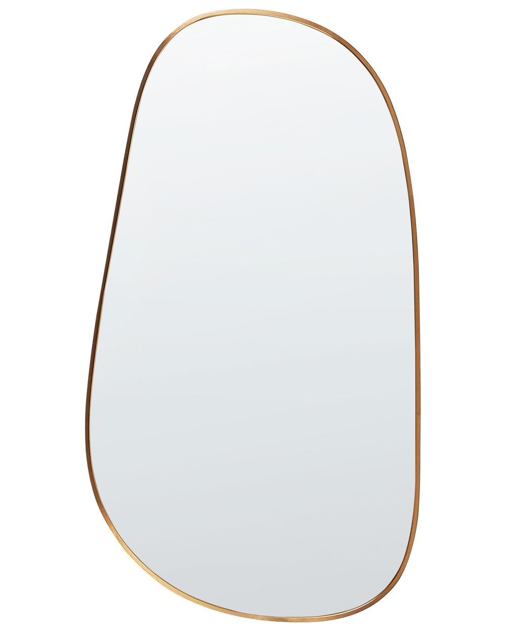 Wall Mirror VERNAIS 60 cm 110 cm Metal Gold