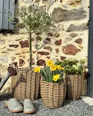 Set of 3 Wicker Planters AUCUBA 26/34/44 cm Light Brown_918340