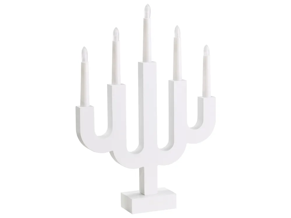 Christmas Decoration BJORKAN LED White_1020625