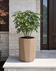 Blomkruka LAVANTTAL 33 cm Taupe_1161809