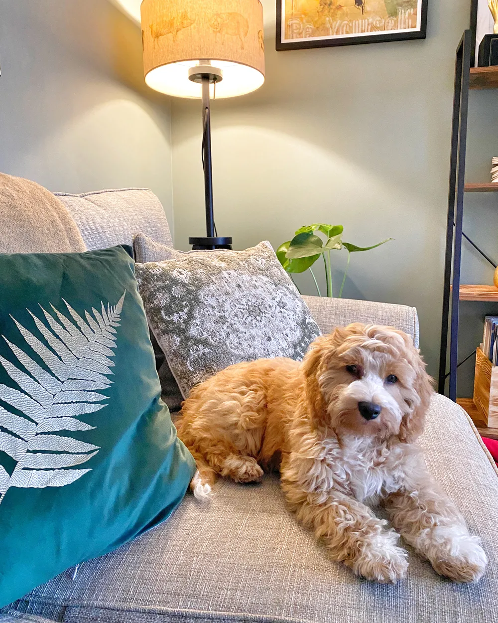 Set of 2 Decorative Cushions FERN 45 x 45 cm Velvet Dark Green Plant Pattern_887395