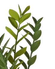 Artificial Plant ZAMIIFOLIA 76 cm Green_994166