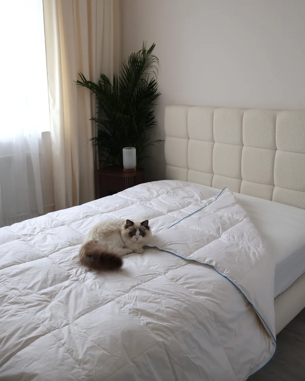 Duvet Duck Feathers and Down 6 TOG Light Warm CERVINO 200 x 200 cm_1052635