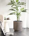 Kukkaruukku DARIA 37 cm Ruskeanharmaa
