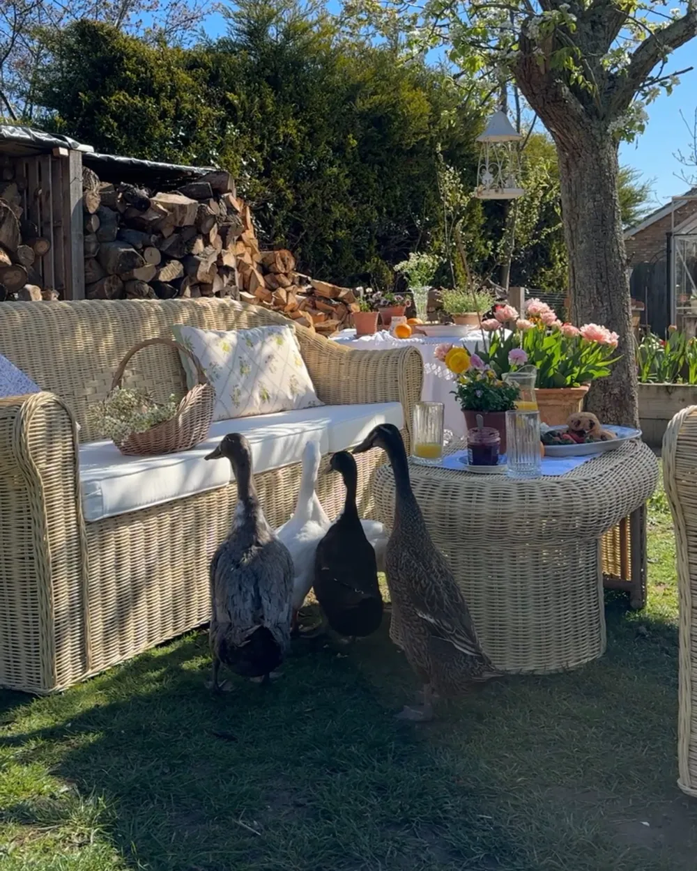 Garden Lounge Set with Table 5 Seater LIVADEIA Rattan Natural_1072254