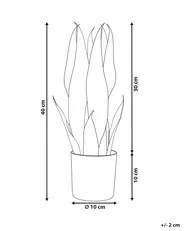 Tekokasvi SNAKE PLANT 40 cm Vihreä_822702